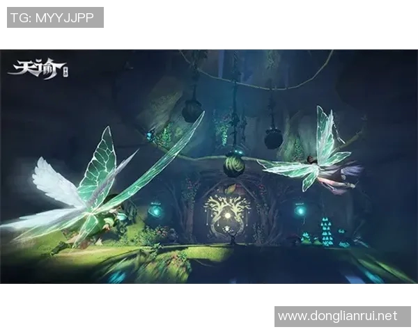 坎贝奇的奇幻冒险之旅探索未知世界的神秘与魅力