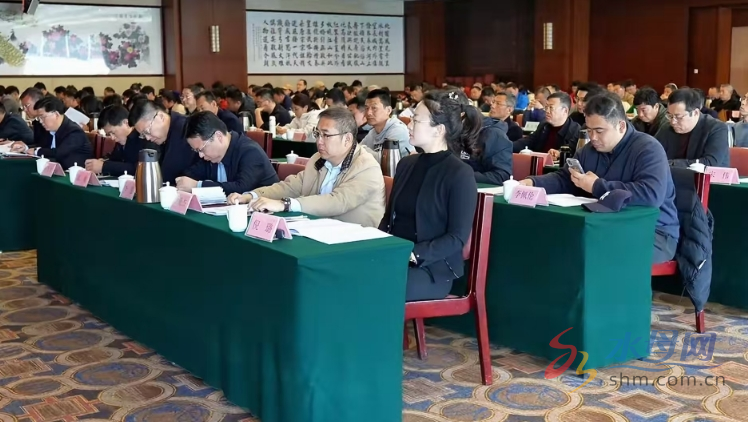 全市体育工作会议成功召开新葡萄娱乐网址(图4)