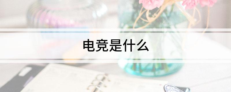 新葡萄娱乐入口电竞是什么